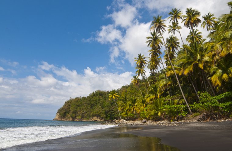 Anse Noire Beach on Martinique