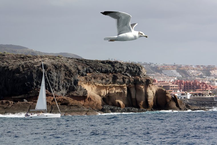 Canary Islands - Challenges and highlights of sailing the Atlantic